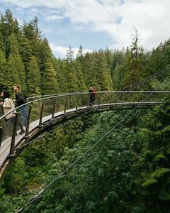 Capilano-Suspension-bridge-Large
