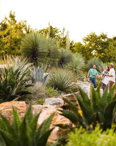Houston Botanic Garden Entry  Large
