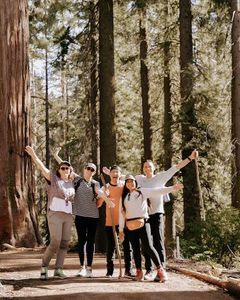 Yosemite and Sequoia tour Large