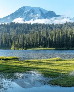 Mt. Rainier Full-Day Tour