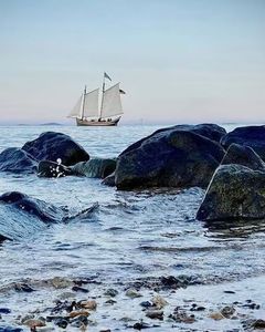 Salem sailing cruise Large