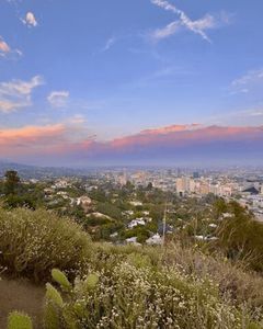 Hollywood-Hills-ezgif.com-avif-to-png-converter