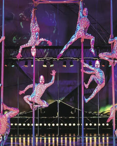 Mystère by Cirque du Soleil at Treasure Island