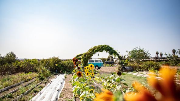 Camarillo_Farm_Road Trip_Landscape (2)
